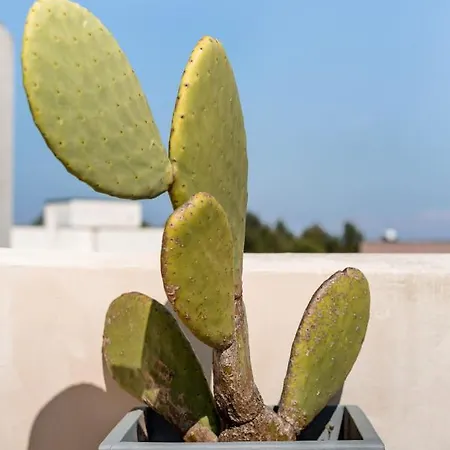 Апартаменты Wp Relais